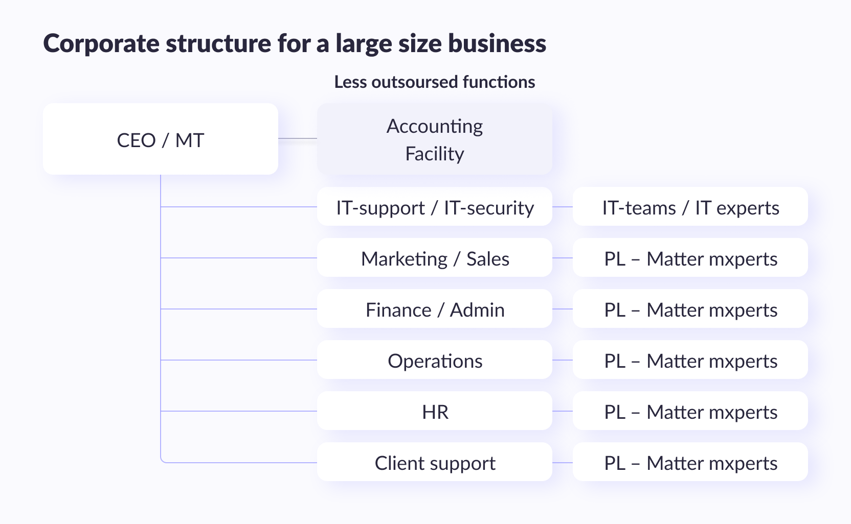 Corporate structure for a large size business