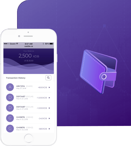 Developed Product Digital bits Geniusee