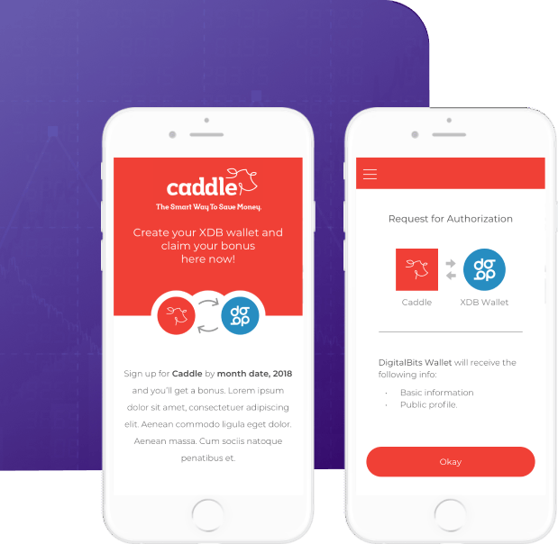 Developed Product Digital bits Geniusee